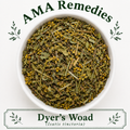 Dyer's Woad (Isatis tinctoria) - Leaf