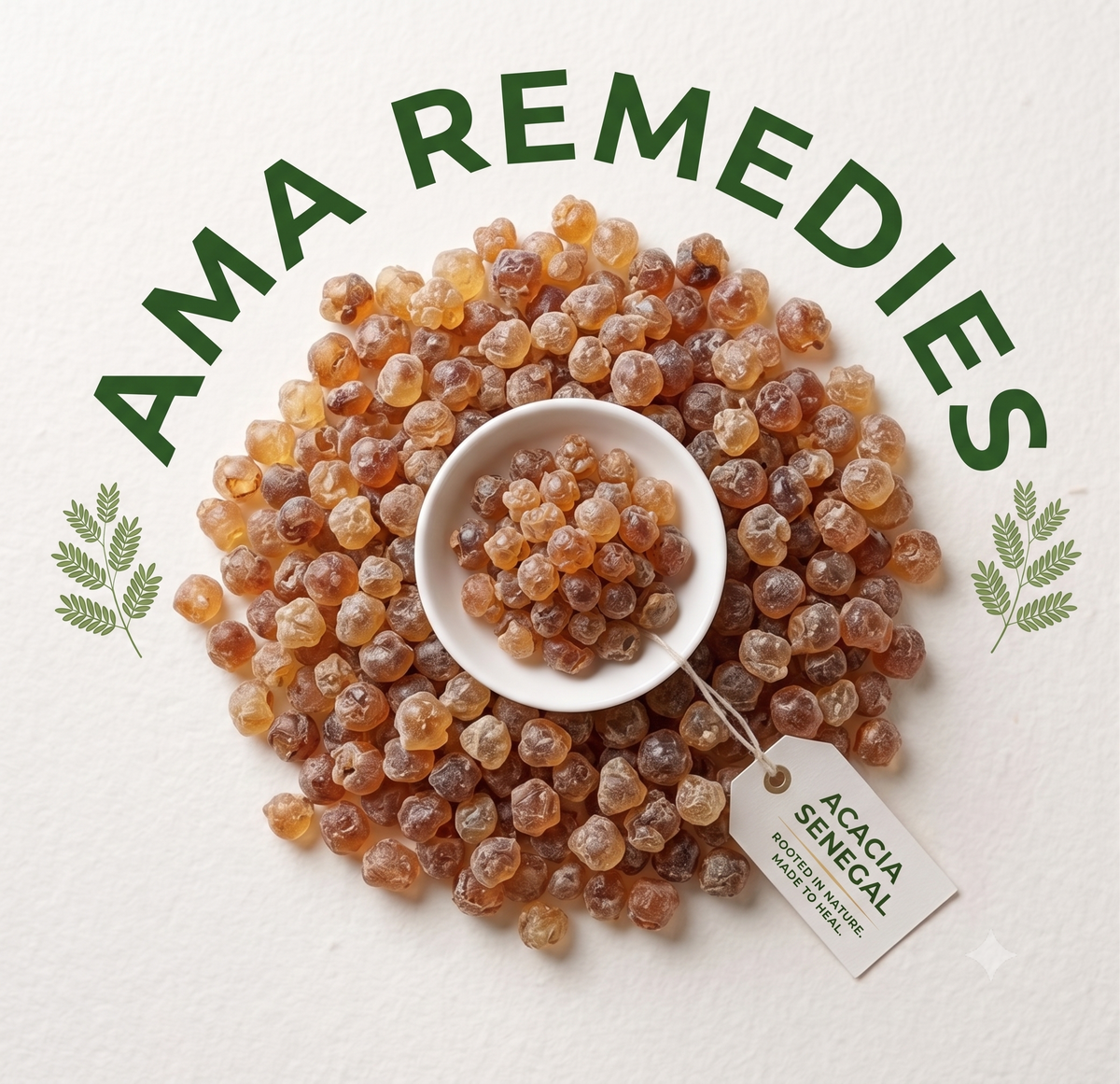 Acacia Gum Arabic (Acacia senegal) — Organic