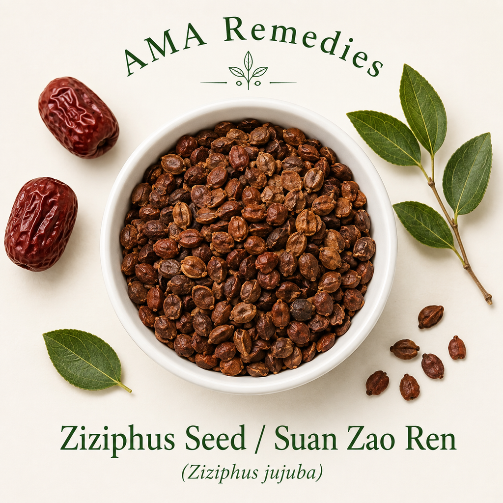 Ziziphus Seed / Suan Zao Ren (Ziziphus jujuba var. spinosa)
