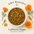 California Poppy (Eschscholzia californica)