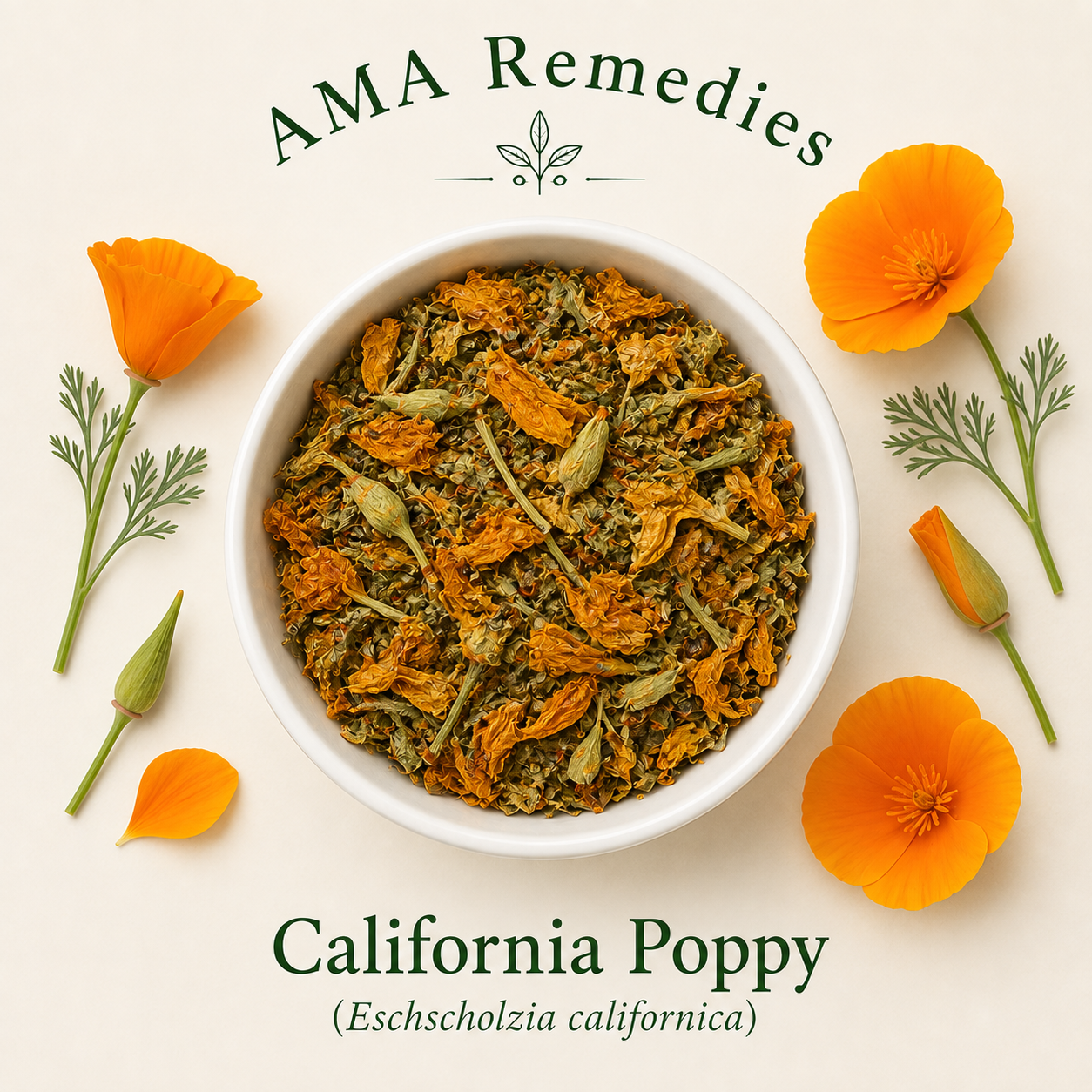 California Poppy (Eschscholzia californica)
