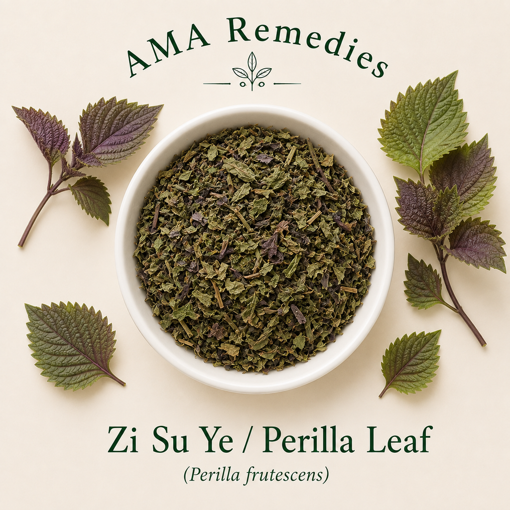 Zi Su Ye / Perilla Leaf (Perilla frutescens)