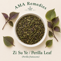 Zi Su Ye / Perilla Leaf (Perilla frutescens)