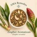 Zingiber Aromaticum (Zingiber zerumbet)