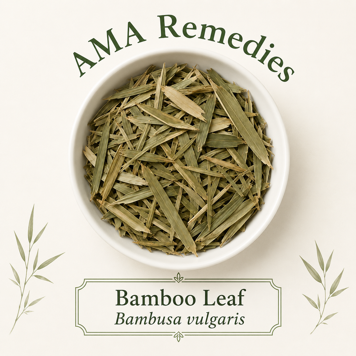 Bamboo Leaf (Bambusa vulgaris) — Organic Dried Leaves