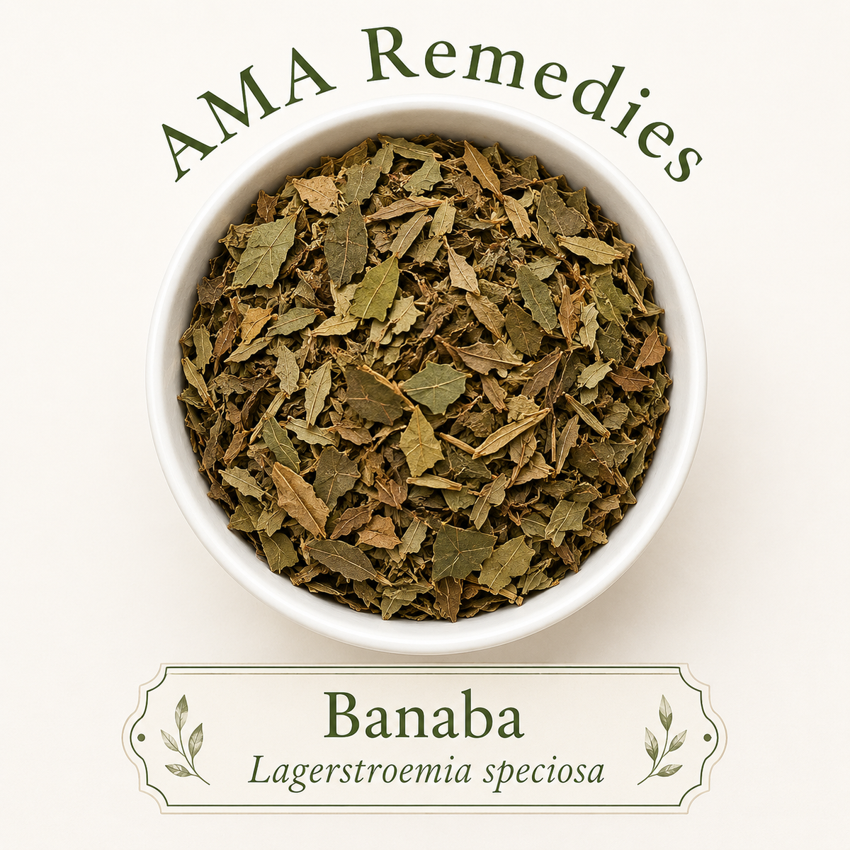 Banaba (Lagerstroemia speciosa) — Organic Dried Leaves