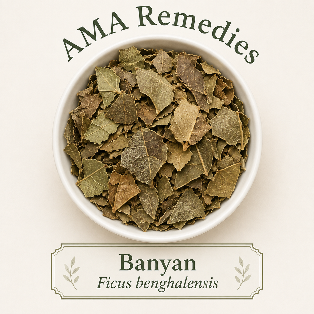 Banyan (Ficus benghalensis) — Organic