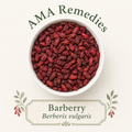 Barberry (Berberis vulgaris) Loose Leaf Tea (Organic)