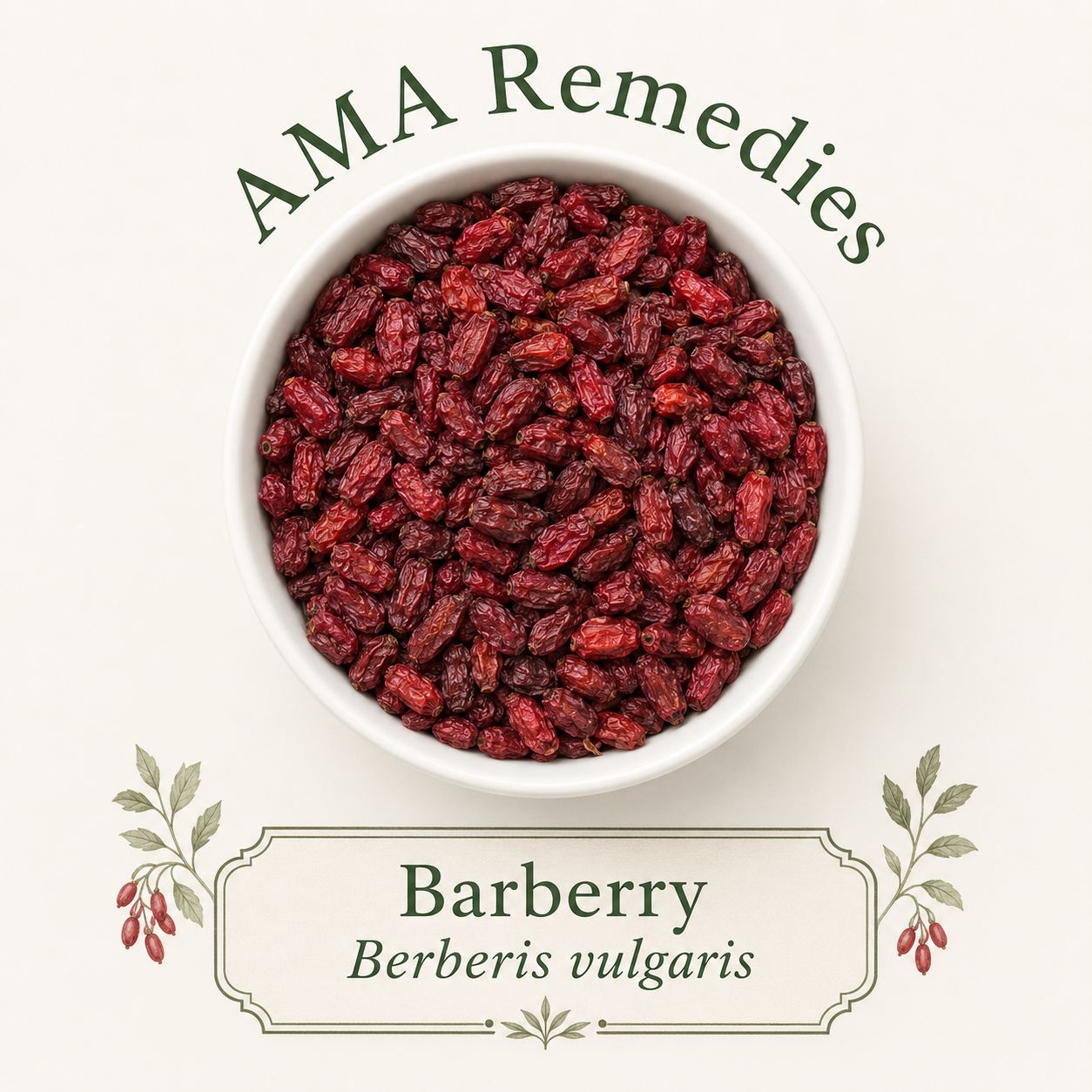 Barberry (Berberis vulgaris) Loose Leaf Tea (Organic)