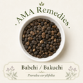 Babchi / Bakuchi (Psoralea corylifolia) — Organic Dried Fruits (commonly called seeds)
