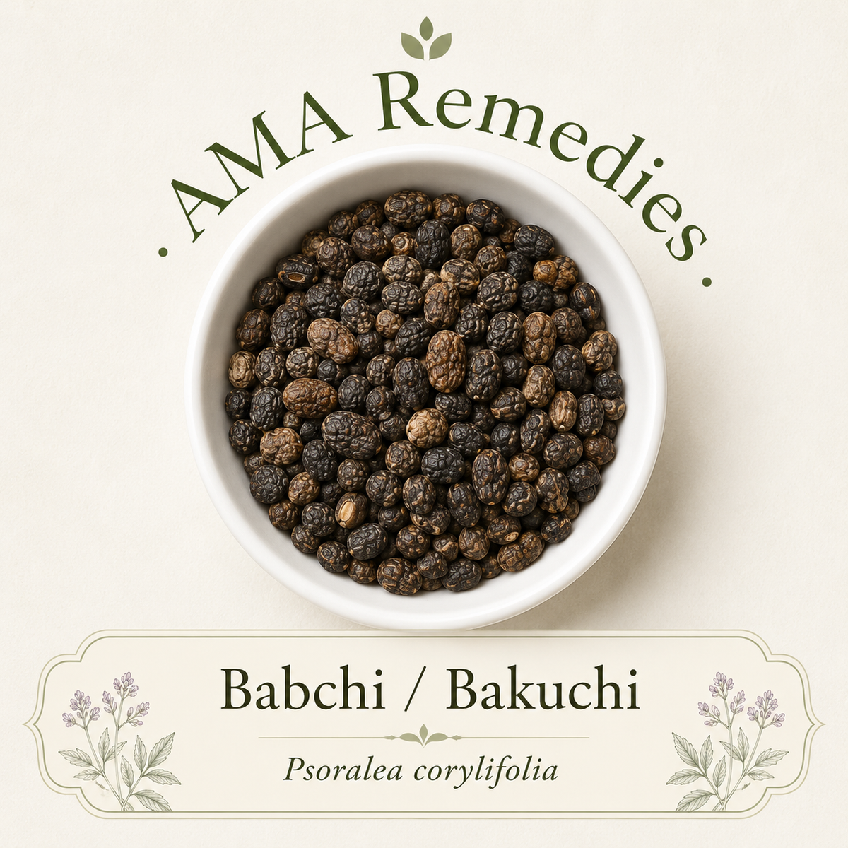 Babchi / Bakuchi (Psoralea corylifolia) — Organic Dried Fruits (commonly called seeds)