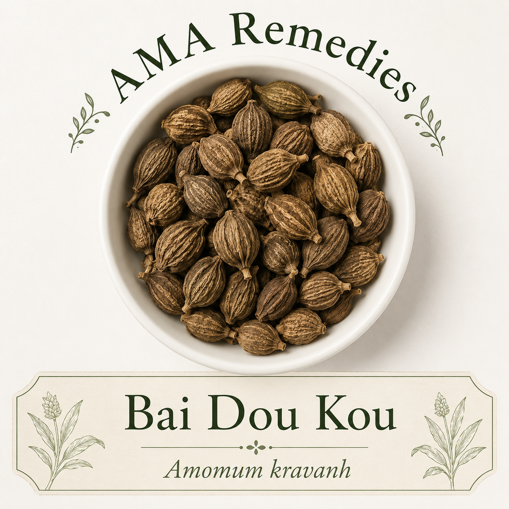 Bai Dou Kou (Amomum kravanh) — Organic Dried Fruit