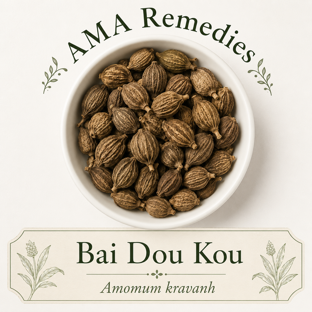 Bai Dou Kou (Amomum kravanh) — Organic Dried Fruit