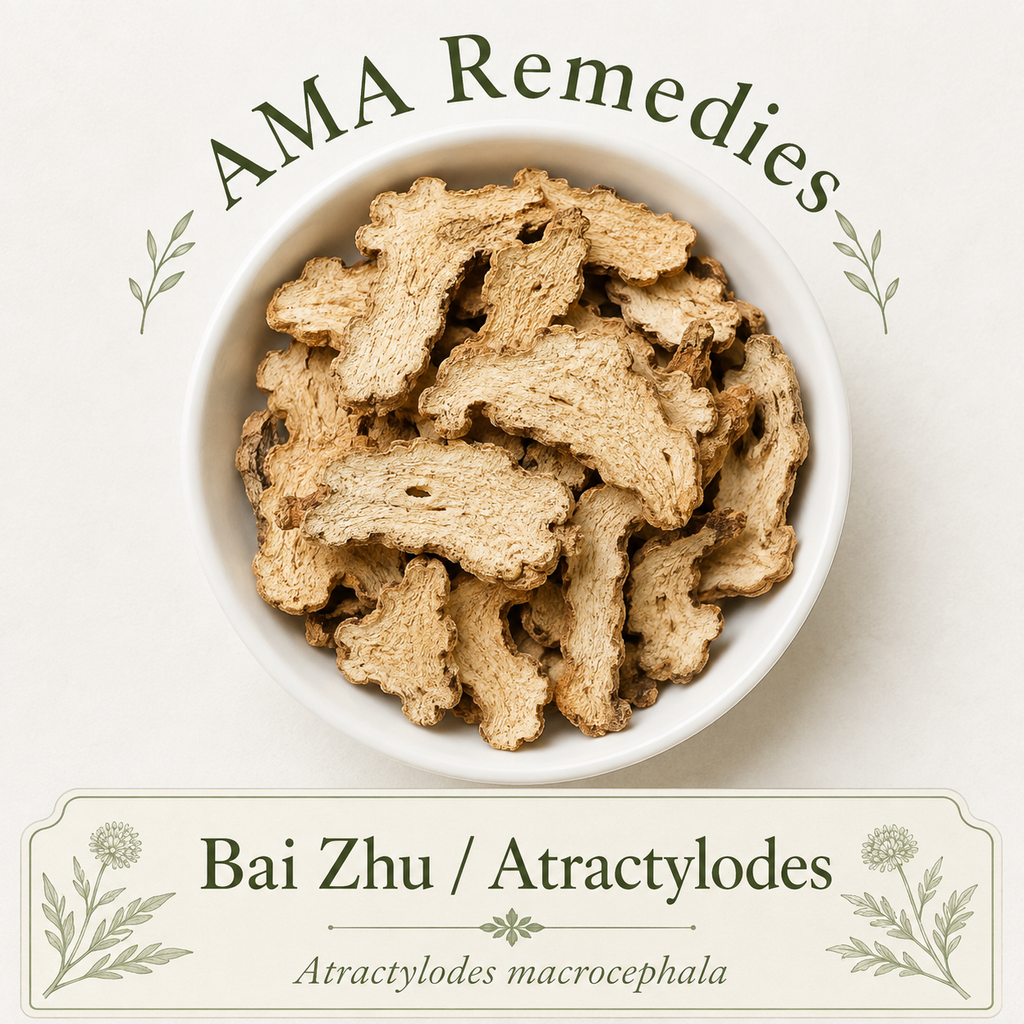 Bai Zhu / Atractylodes (Atractylodes macrocephala) — Organic Dried Rhizome