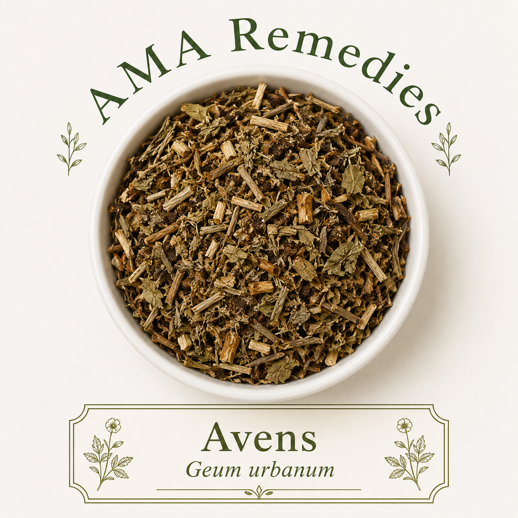 Avens (Geum urbanum) Loose Leaf Tea (Organic)