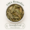 Avocado Leaf (Persea americana) — Organic Dried Leaves