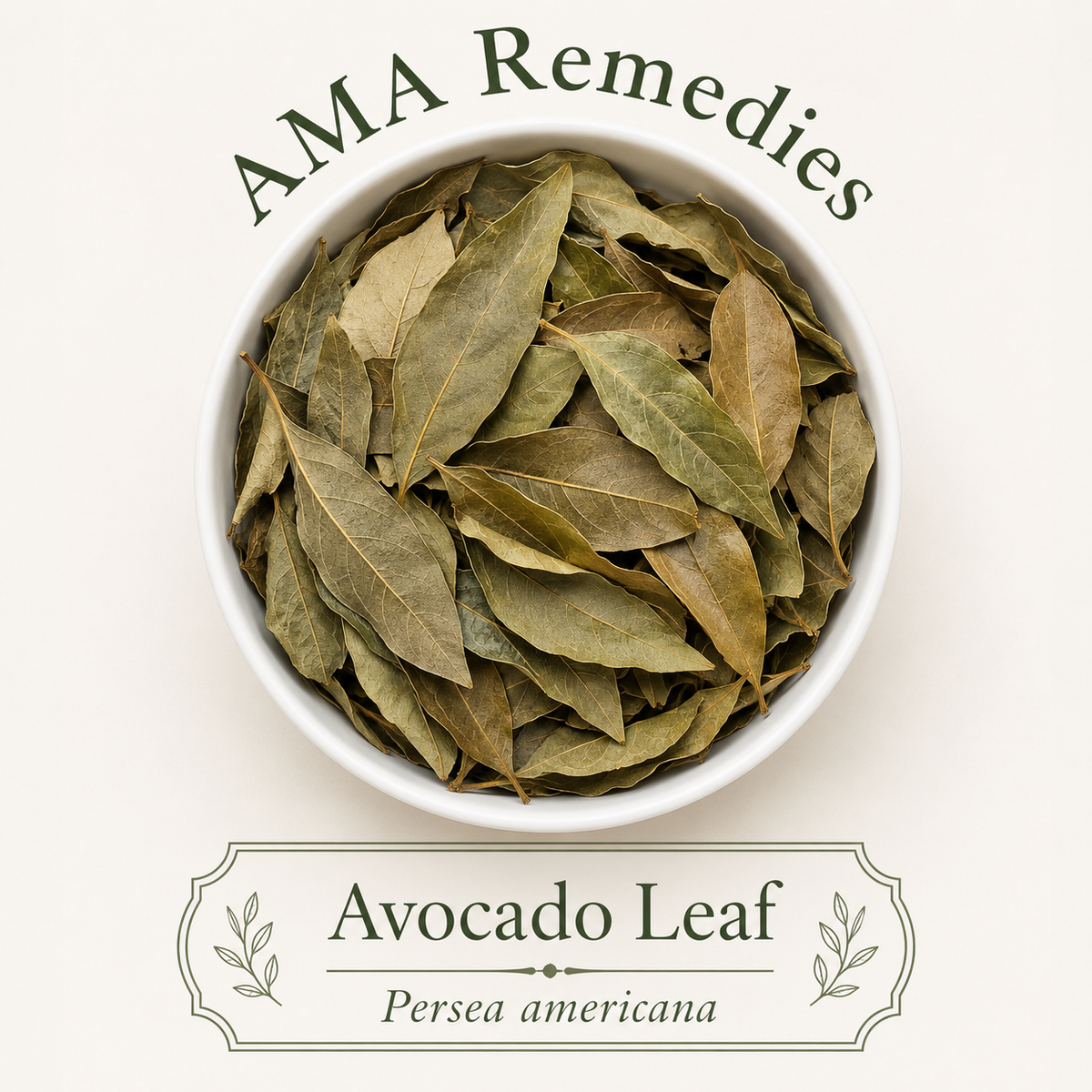 Avocado Leaf (Persea americana) — Organic Dried Leaves