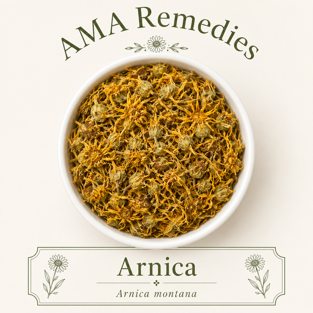 Arnica (Arnica montana) Loose Leaf Tea (Organic)
