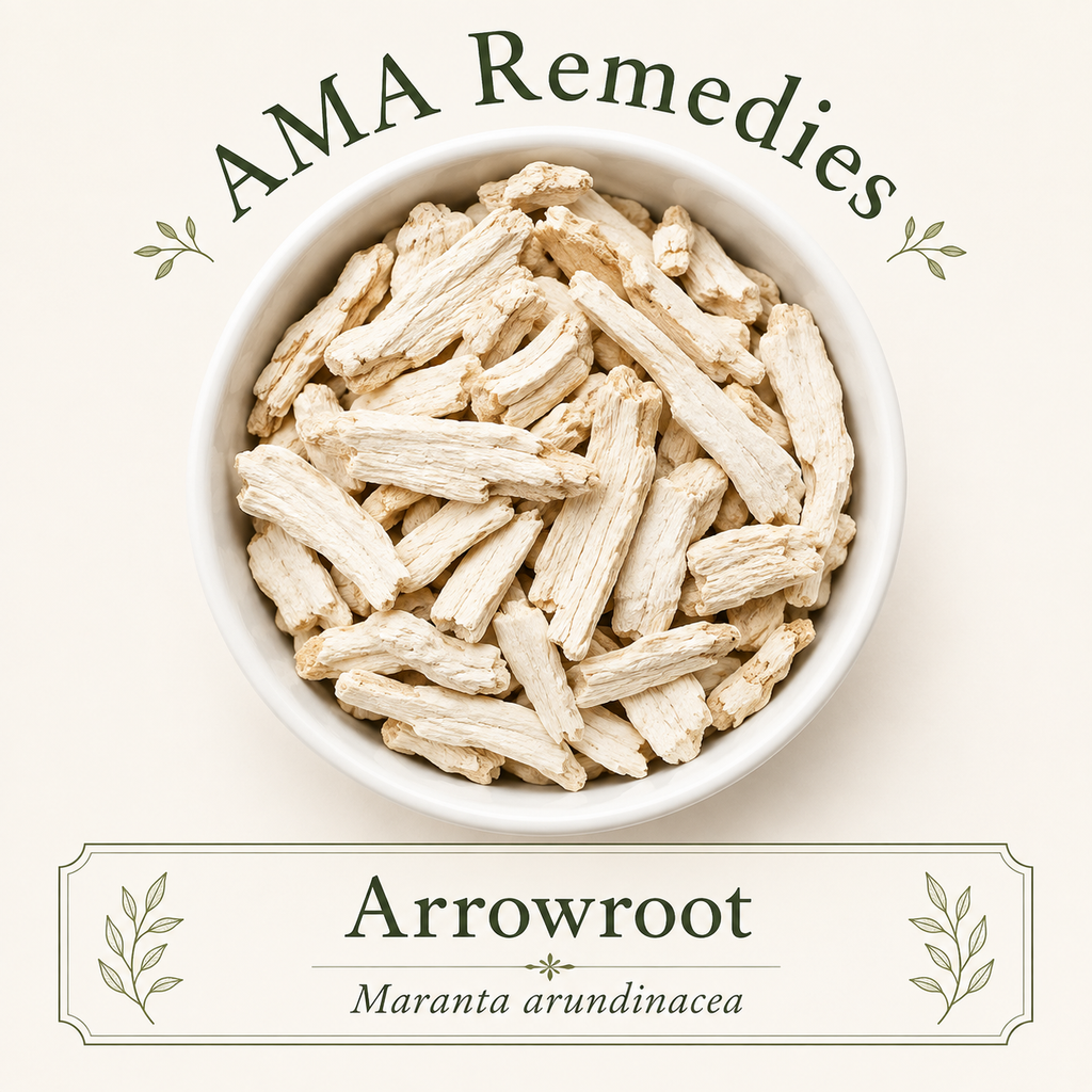Arrowroot (Maranta arundinacea) — Organic
