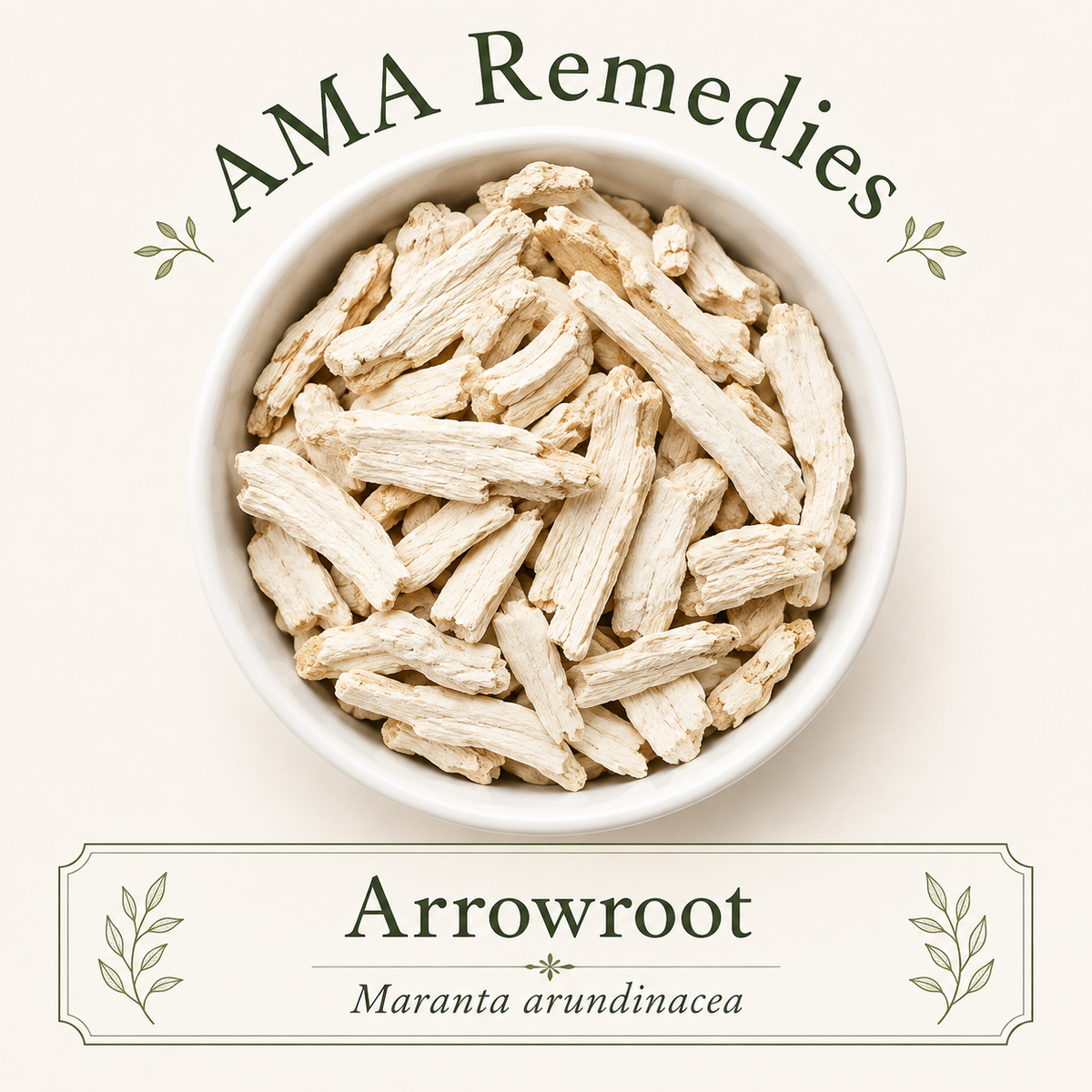 Arrowroot (Maranta arundinacea) — Organic
