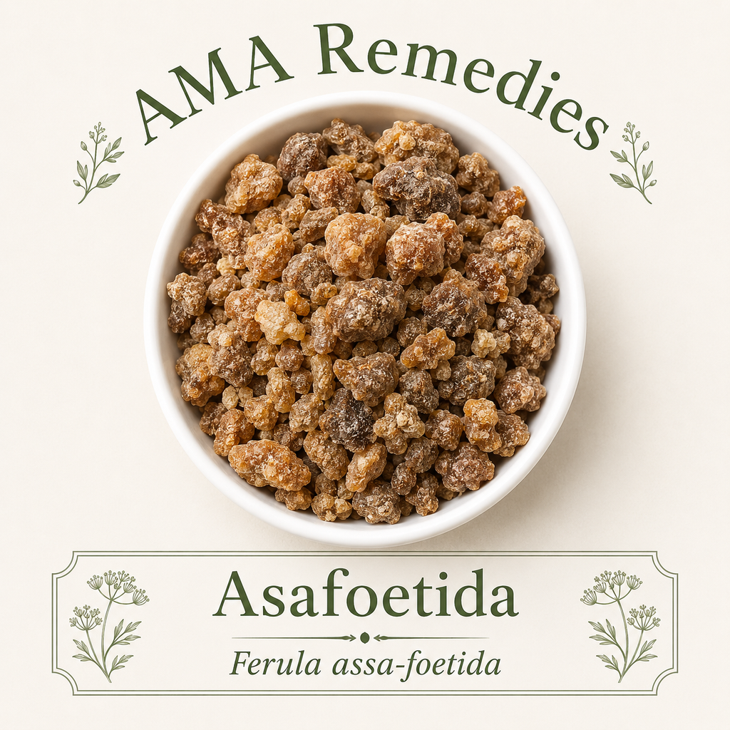 Asafoetida (Ferula assa-foetida) — Organic Dried Gum-Resin