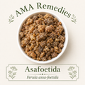 Asafoetida (Ferula assa-foetida) — Organic Dried Gum-Resin