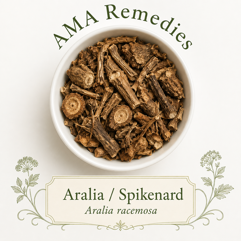 Aralia / Spikenard (Aralia racemosa) — Organic Dried Root