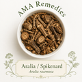 Aralia / Spikenard (Aralia racemosa) — Organic Dried Root