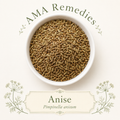 Anise (Pimpinella anisum) Loose Leaf Tea (Organic)