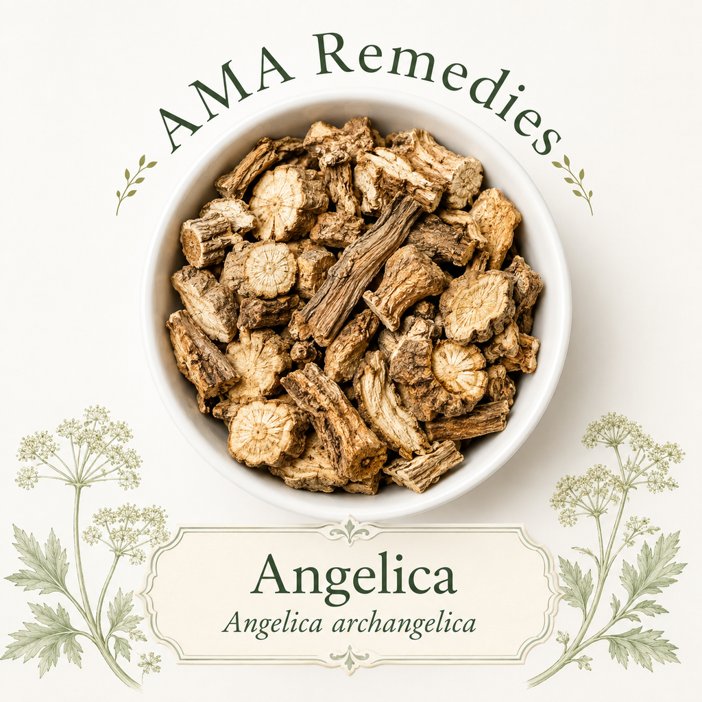 Angelica (Angelica archangelica) Loose Leaf Tea (Organic)