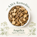 Angelica (Angelica archangelica) Loose Leaf Tea (Organic)