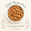 Apricot Kernel / Xing Ren (Prunus armeniaca) — Organic Dried Kernels