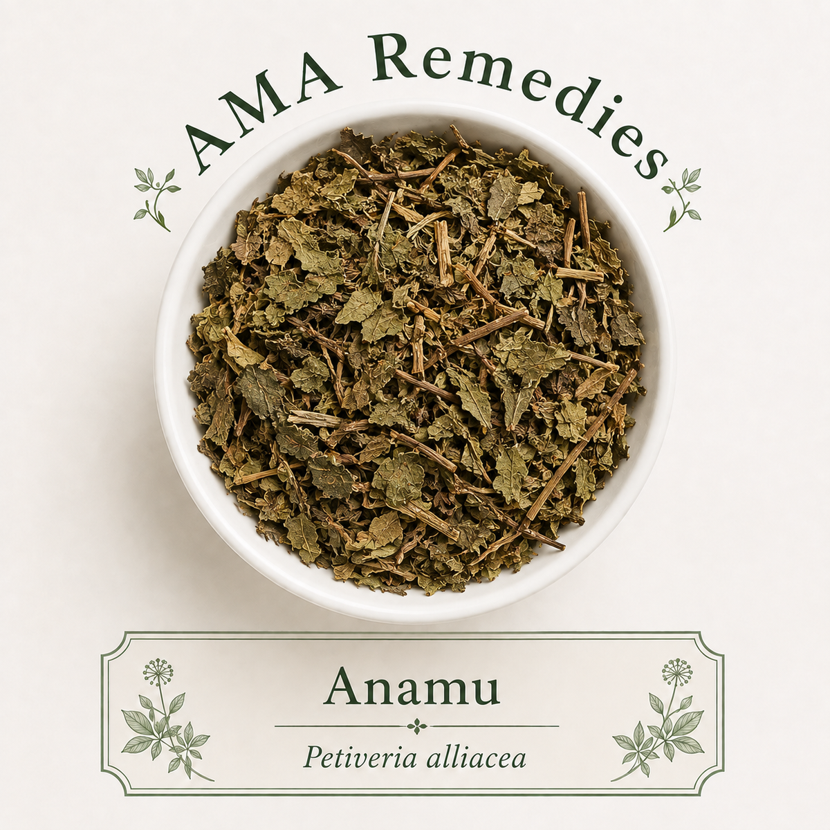 Anamu (Petiveria alliacea) — Organic
