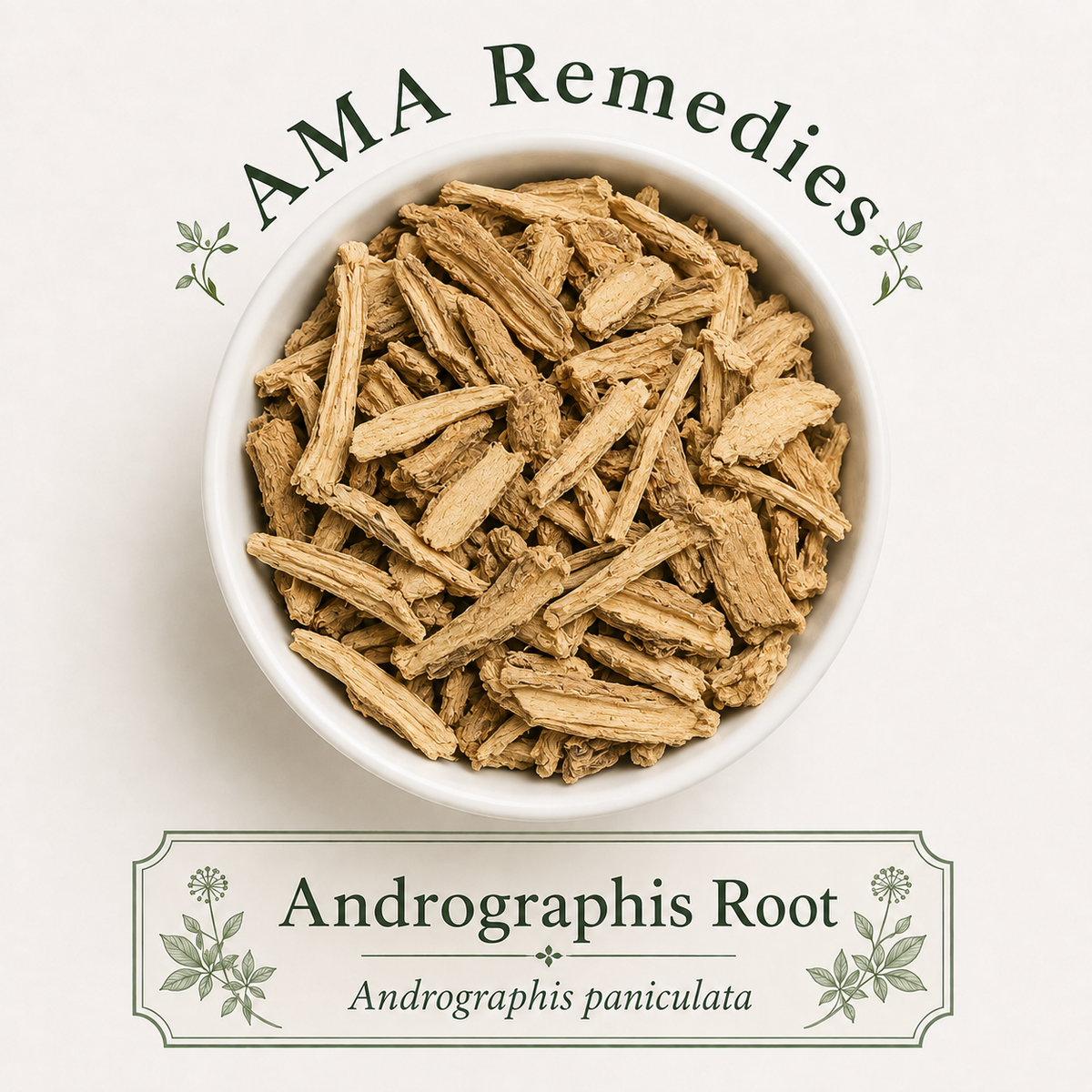 Andrographis Root (Andrographis paniculata) — Organic