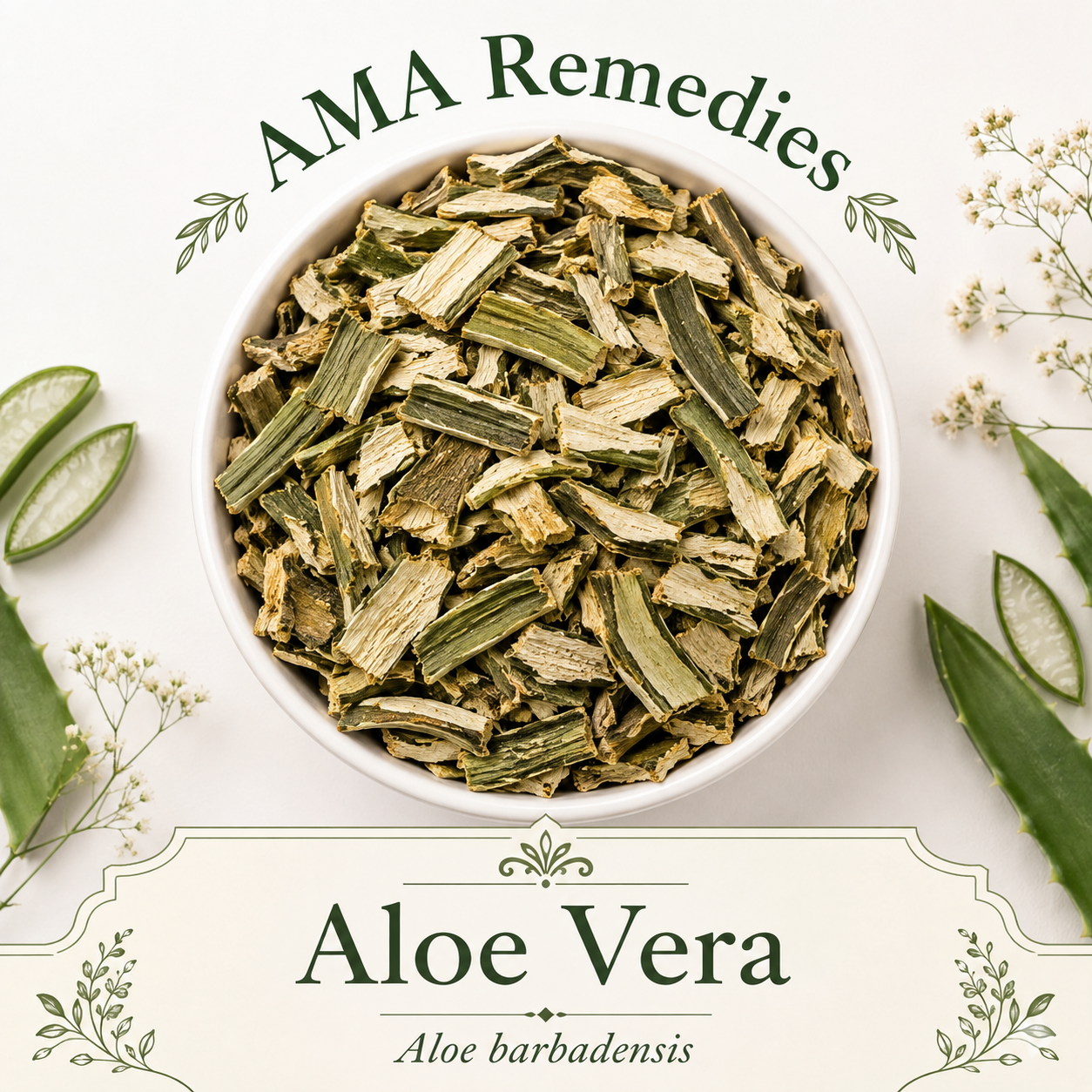 Aloe Vera (Aloe barbadensis) Loose Leaf Tea (Organic)