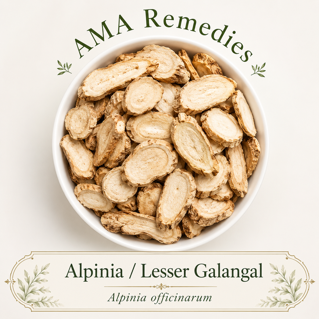 Alpinia / Lesser Galangal (Alpinia officinarum) Loose Leaf Tea (Organic)