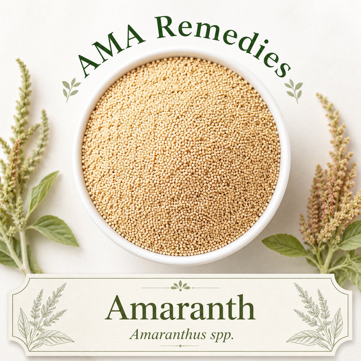 Amaranth (Amaranthus spp.) — Organic