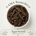Agarwood (Aquilaria malaccensis) — Organic Dried Resinous Wood