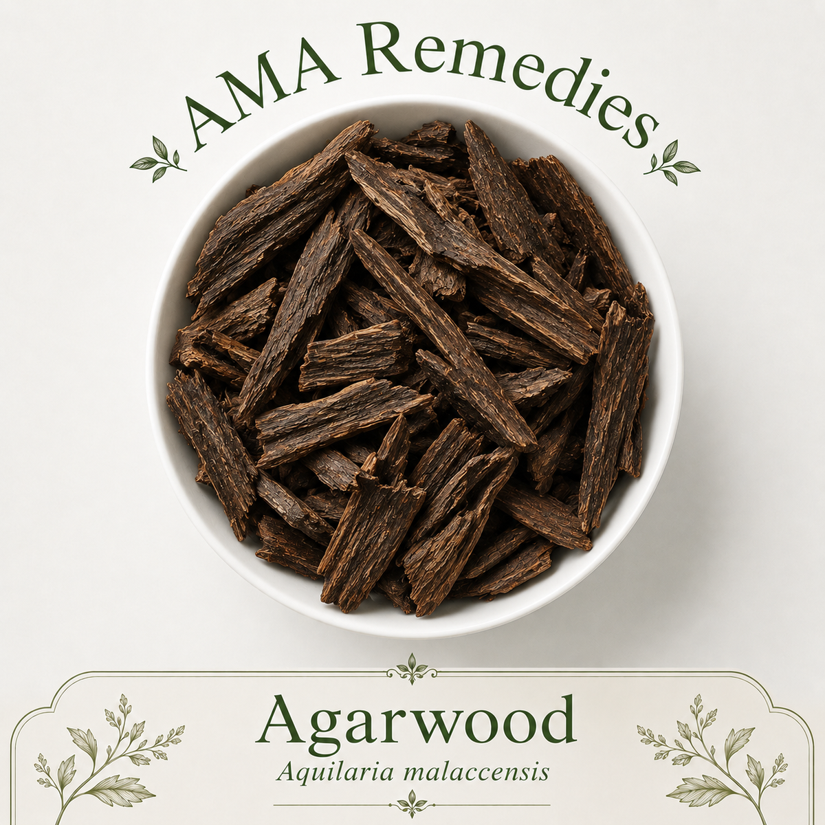 Agarwood (Aquilaria malaccensis) — Organic Dried Resinous Wood