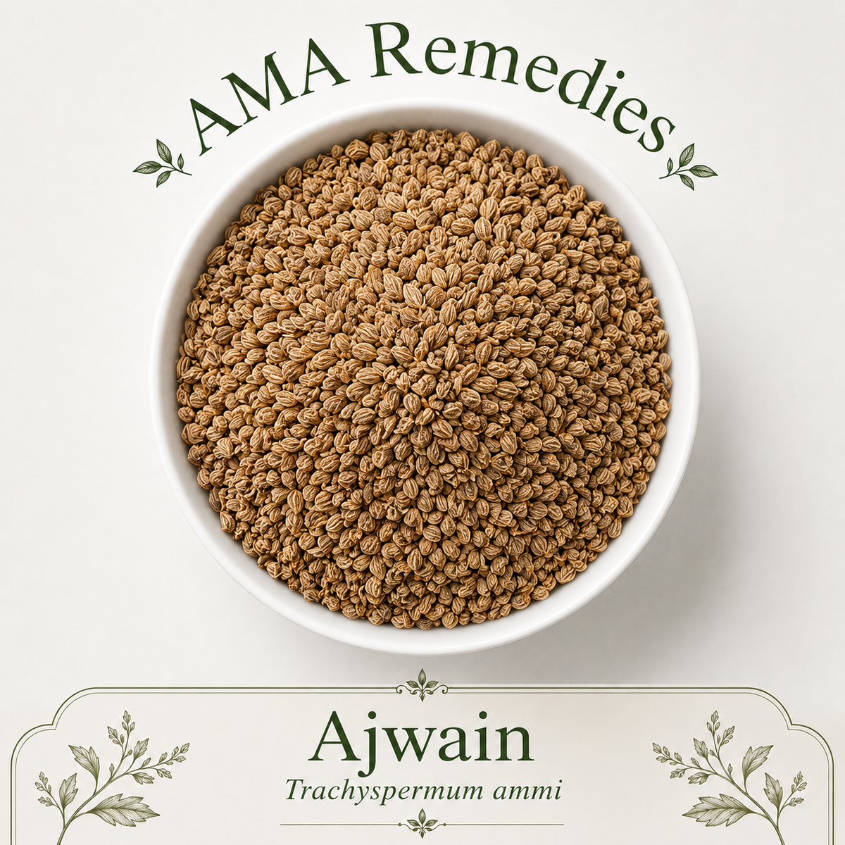 Ajwain (Trachyspermum ammi) — Organic Dried Fruits (commonly called seeds)