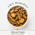 African Potato (Hypoxis hemerocallidea) — Organic Dried Corm