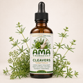 Cleavers Tincture