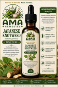 Japanese Knotweed Tincture