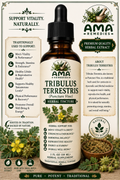 Tribulus Terrestris Tincture
