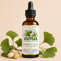 Ginkgo Leaf Tincture