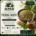 Yerba Mate (Ilex paraguariensis) — Dried Leaves