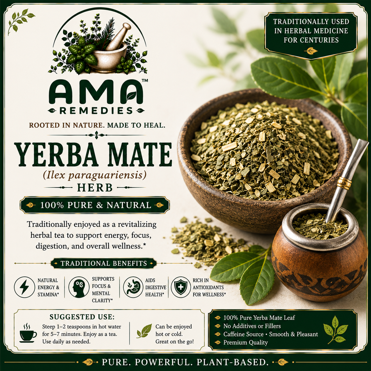 Yerba Mate (Ilex paraguariensis) — Dried Leaves