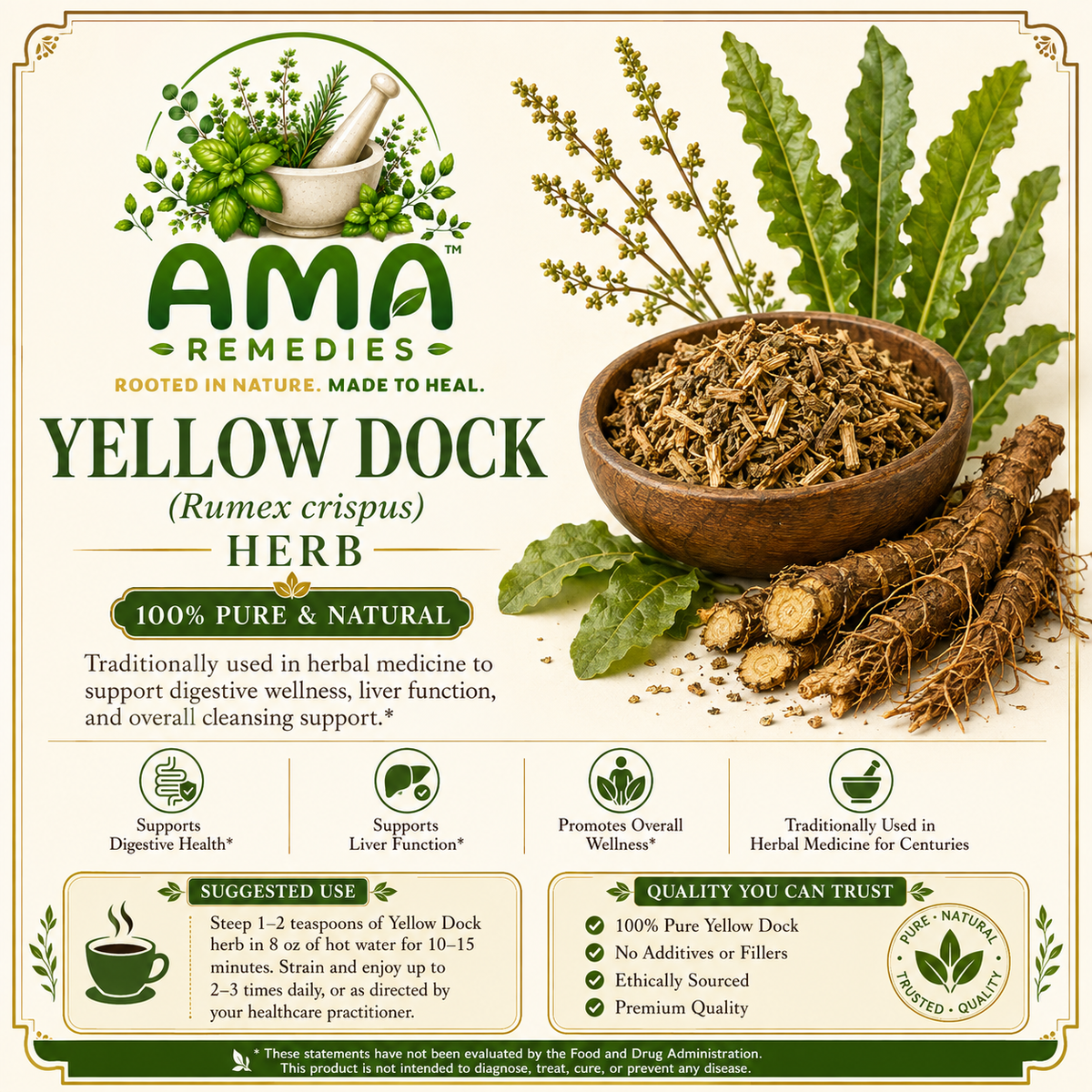 Yellow Dock (Rumex crispus)