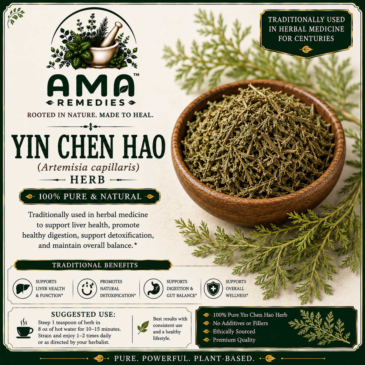 Yin Chen Hao (Artemisia capillaris) — Dried Young Herb