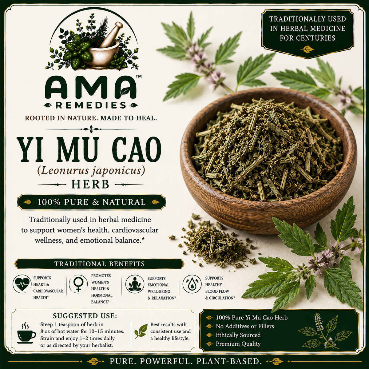 Yi Mu Cao (Leonurus japonicus) — Dried Herb